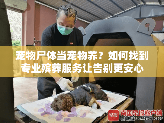 宠物尸体当宠物养？如何找到专业殡葬服务让告别更安心