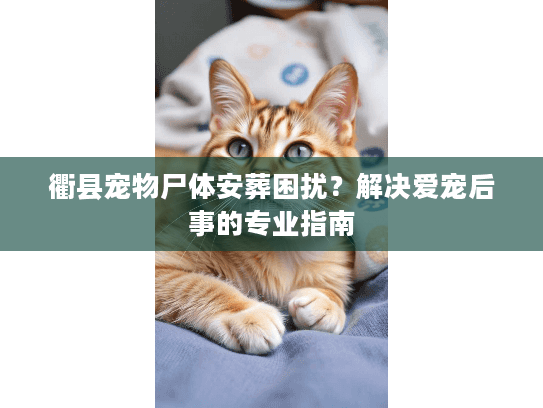 衢县宠物尸体安葬困扰？解决爱宠后事的专业指南