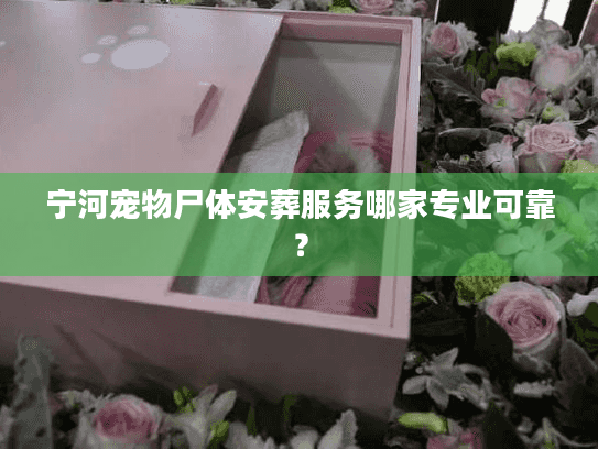 宁河宠物尸体安葬服务哪家专业可靠？