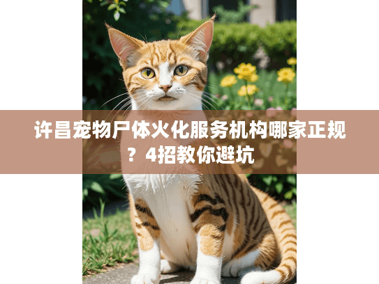 许昌宠物尸体火化服务机构哪家正规？4招教你避坑