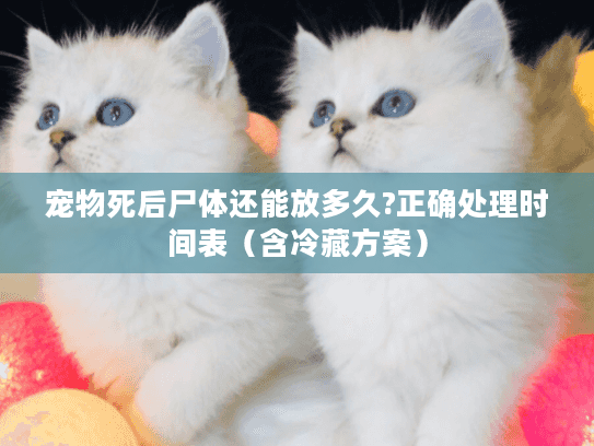 宠物死后尸体还能放多久?正确处理时间表（含冷藏方案）