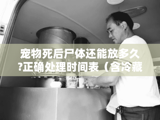 宠物死后尸体还能放多久?正确处理时间表（含冷藏方案）