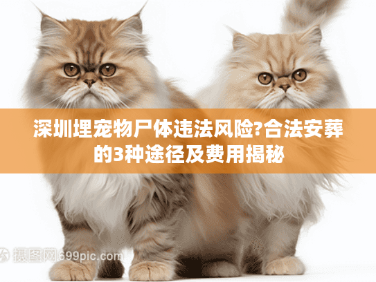深圳埋宠物尸体违法风险?合法安葬的3种途径及费用揭秘