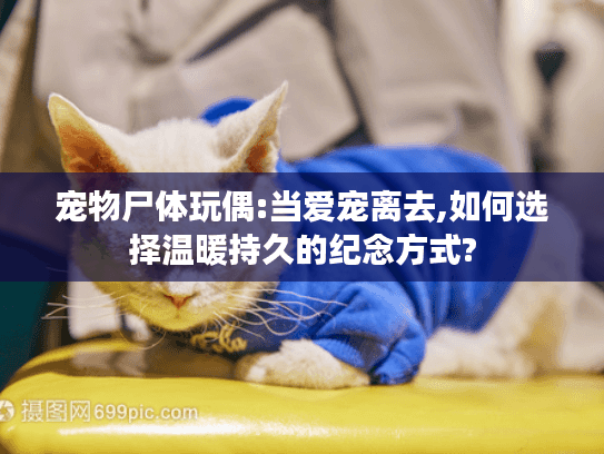 宠物尸体玩偶:当爱宠离去,如何选择温暖持久的纪念方式?
