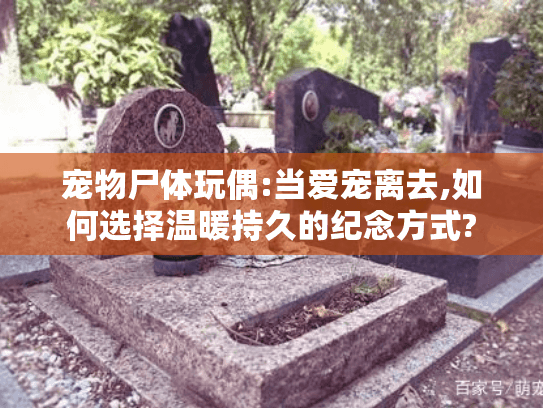 宠物尸体玩偶:当爱宠离去,如何选择温暖持久的纪念方式?