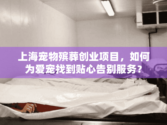 上海宠物殡葬创业项目，如何为爱宠找到贴心告别服务？