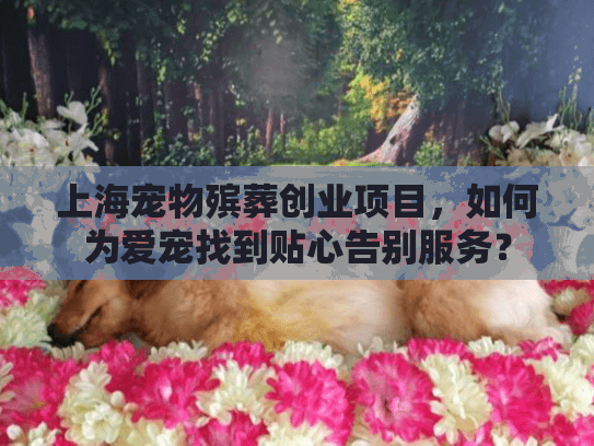 上海宠物殡葬创业项目，如何为爱宠找到贴心告别服务？