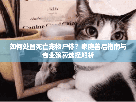 如何处置死亡宠物尸体？家庭善后指南与专业殡葬选择解析