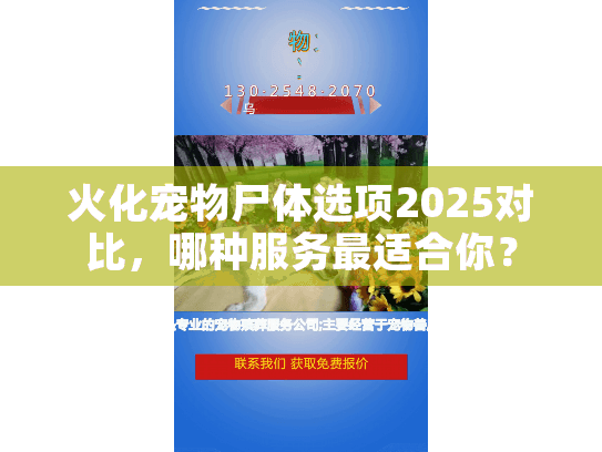 火化宠物尸体选项2025对比，哪种服务最适合你？