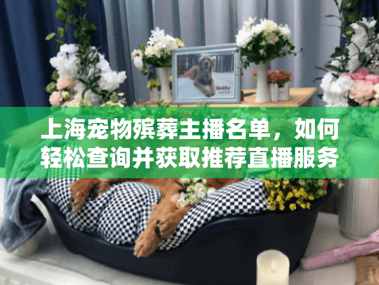 上海宠物殡葬主播名单，如何轻松查询并获取推荐直播服务？