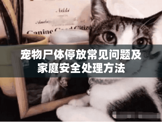 宠物尸体停放常见问题及家庭安全处理方法