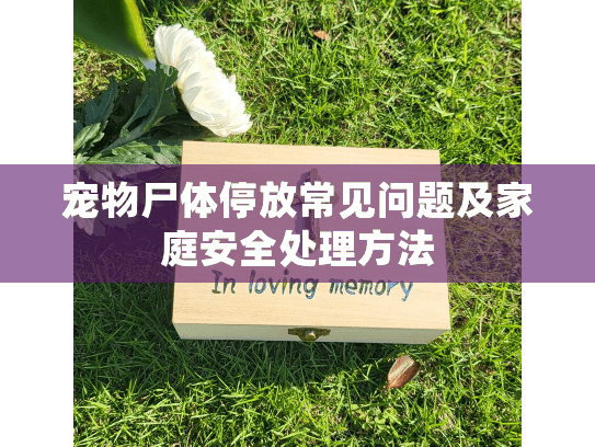 宠物尸体停放常见问题及家庭安全处理方法