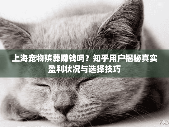 上海宠物殡葬赚钱吗？知乎用户揭秘真实盈利状况与选择技巧