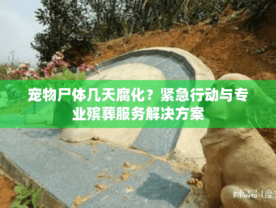 宠物尸体几天腐化？紧急行动与专业殡葬服务解决方案