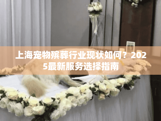 上海宠物殡葬行业现状如何？2025最新服务选择指南