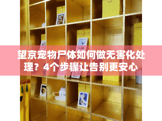 望京宠物尸体如何做无害化处理？4个步骤让告别更安心