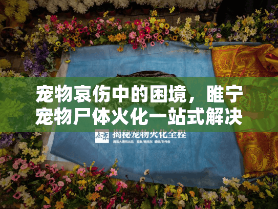 宠物哀伤中的困境，睢宁宠物尸体火化一站式解决方案