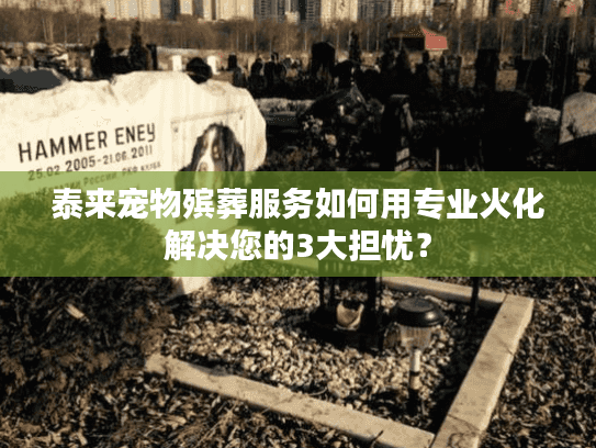 泰来宠物殡葬服务如何用专业火化解决您的3大担忧？