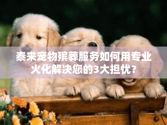 泰来宠物殡葬服务如何用专业火化解决您的3大担忧？