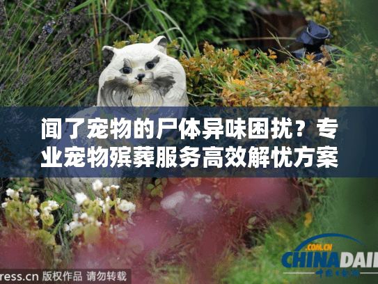 闻了宠物的尸体异味困扰？专业宠物殡葬服务高效解忧方案