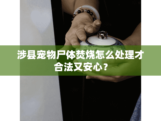 涉县宠物尸体焚烧怎么处理才合法又安心？