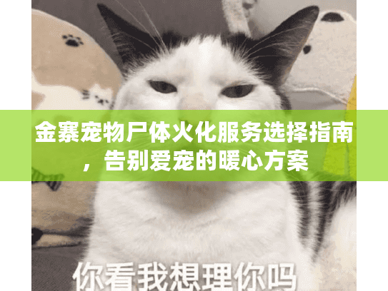 金寨宠物尸体火化服务选择指南，告别爱宠的暖心方案
