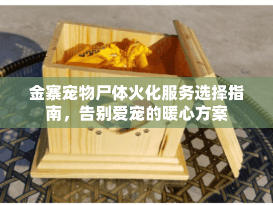 金寨宠物尸体火化服务选择指南，告别爱宠的暖心方案
