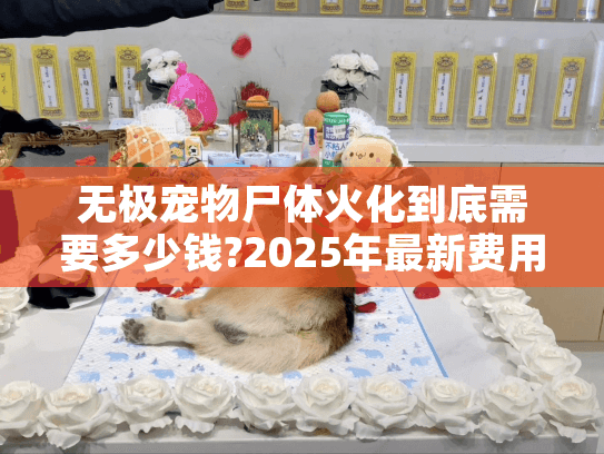 无极宠物尸体火化到底需要多少钱?2025年最新费用全解析