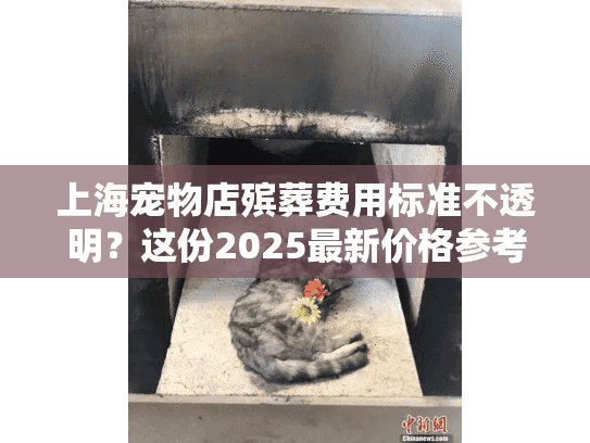 上海宠物店殡葬费用标准不透明？这份2025最新价格参考帮您避坑