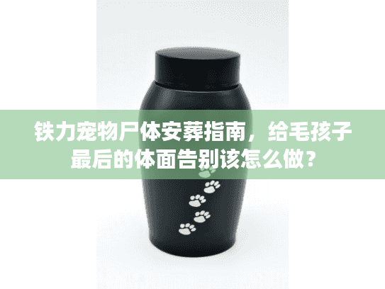 铁力宠物尸体安葬指南，给毛孩子最后的体面告别该怎么做？