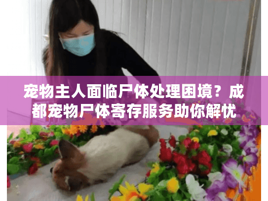 宠物主人面临尸体处理困境？成都宠物尸体寄存服务助你解忧