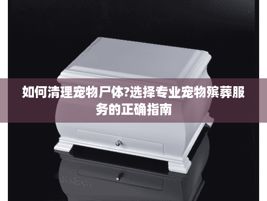 如何清理宠物尸体?选择专业宠物殡葬服务的正确指南