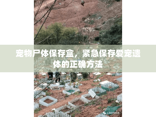 宠物尸体保存盒，紧急保存爱宠遗体的正确方法