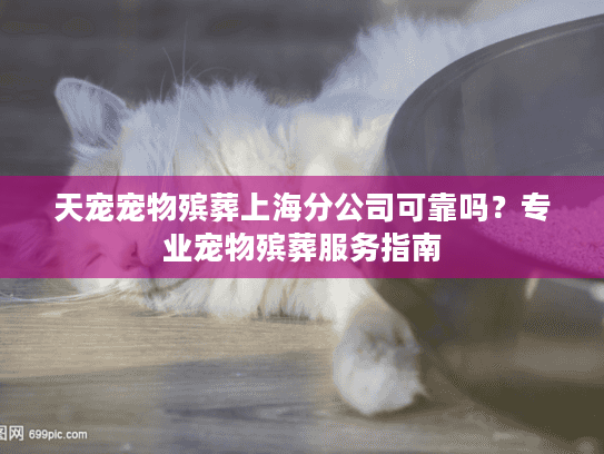 天宠宠物殡葬上海分公司可靠吗？专业宠物殡葬服务指南
