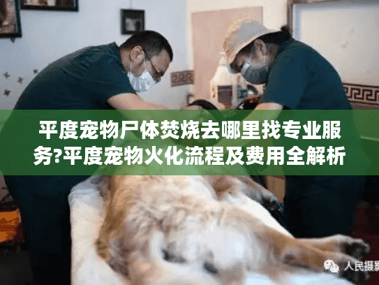 平度宠物尸体焚烧去哪里找专业服务?平度宠物火化流程及费用全解析 平度宠物尸体焚烧去哪里找专业服务?平度宠物火化流程及费用全解析