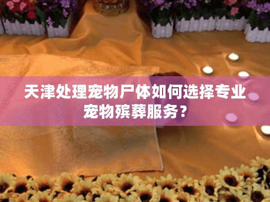天津处理宠物尸体如何选择专业宠物殡葬服务？