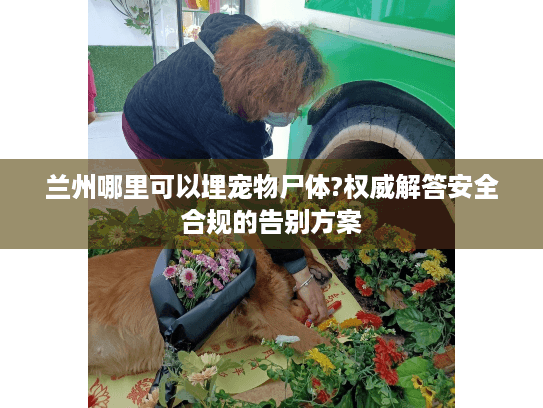 兰州哪里可以埋宠物尸体?权威解答安全合规的告别方案