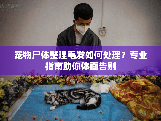 宠物尸体整理毛发如何处理？专业指南助你体面告别