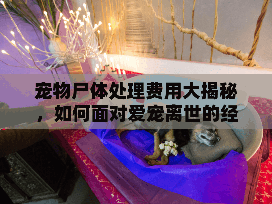 宠物尸体处理费用大揭秘，如何面对爱宠离世的经济负担？