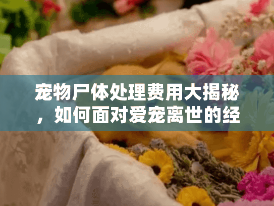 宠物尸体处理费用大揭秘，如何面对爱宠离世的经济负担？