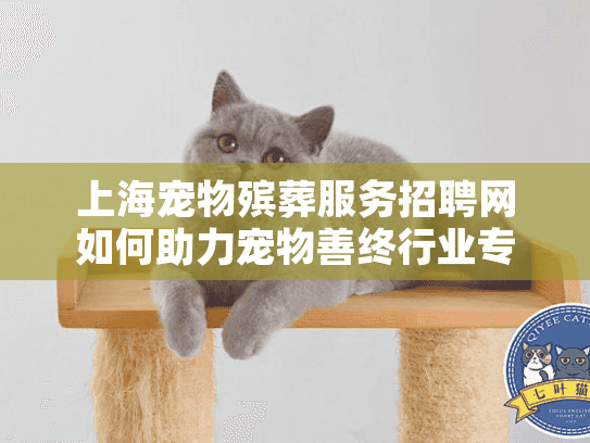 上海宠物殡葬服务招聘网如何助力宠物善终行业专业人才流通?