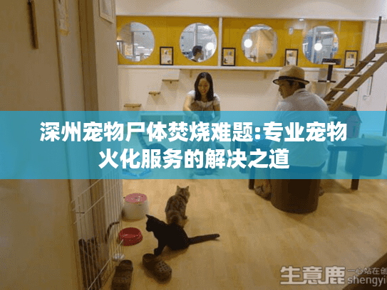 深州宠物尸体焚烧难题:专业宠物火化服务的解决之道