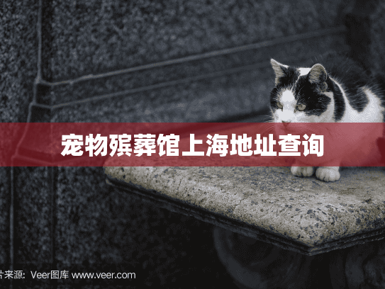宠物殡葬馆上海地址查询