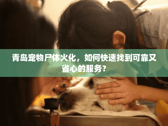 青岛宠物尸体火化，如何快速找到可靠又省心的服务？