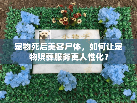 宠物死后美容尸体，如何让宠物殡葬服务更人性化？