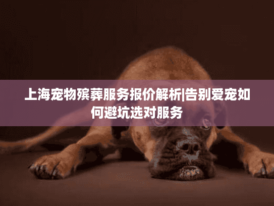 上海宠物殡葬服务报价解析|告别爱宠如何避坑选对服务