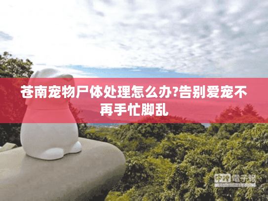 苍南宠物尸体处理怎么办?告别爱宠不再手忙脚乱