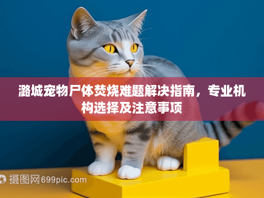 潞城宠物尸体焚烧难题解决指南，专业机构选择及注意事项