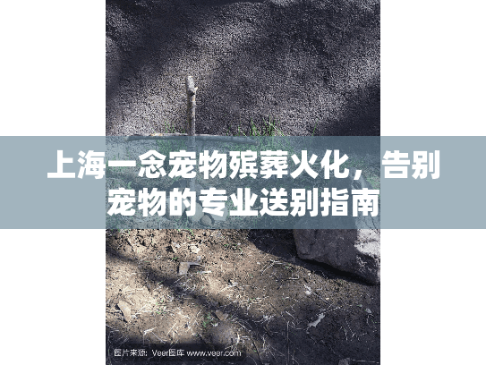 上海一念宠物殡葬火化，告别宠物的专业送别指南