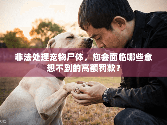 非法处理宠物尸体，您会面临哪些意想不到的高额罚款？